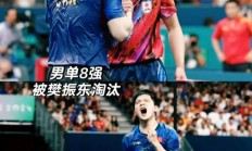 开云体育中国-瑞典乒乓球队翻盘法国乒乓球队，张本智和制霸全场的简单介绍