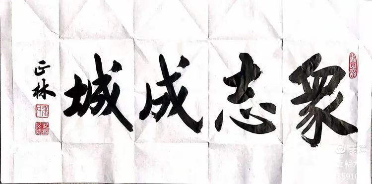 勒沃库森队众志成城，争取胜利的简单介绍