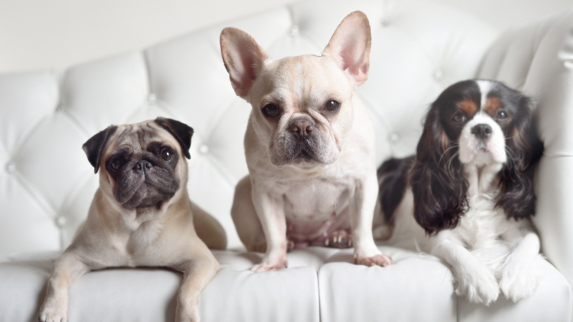 欧冠淘汰赛焦点战启示录，尼克斯终结快船背后的竞技哲学