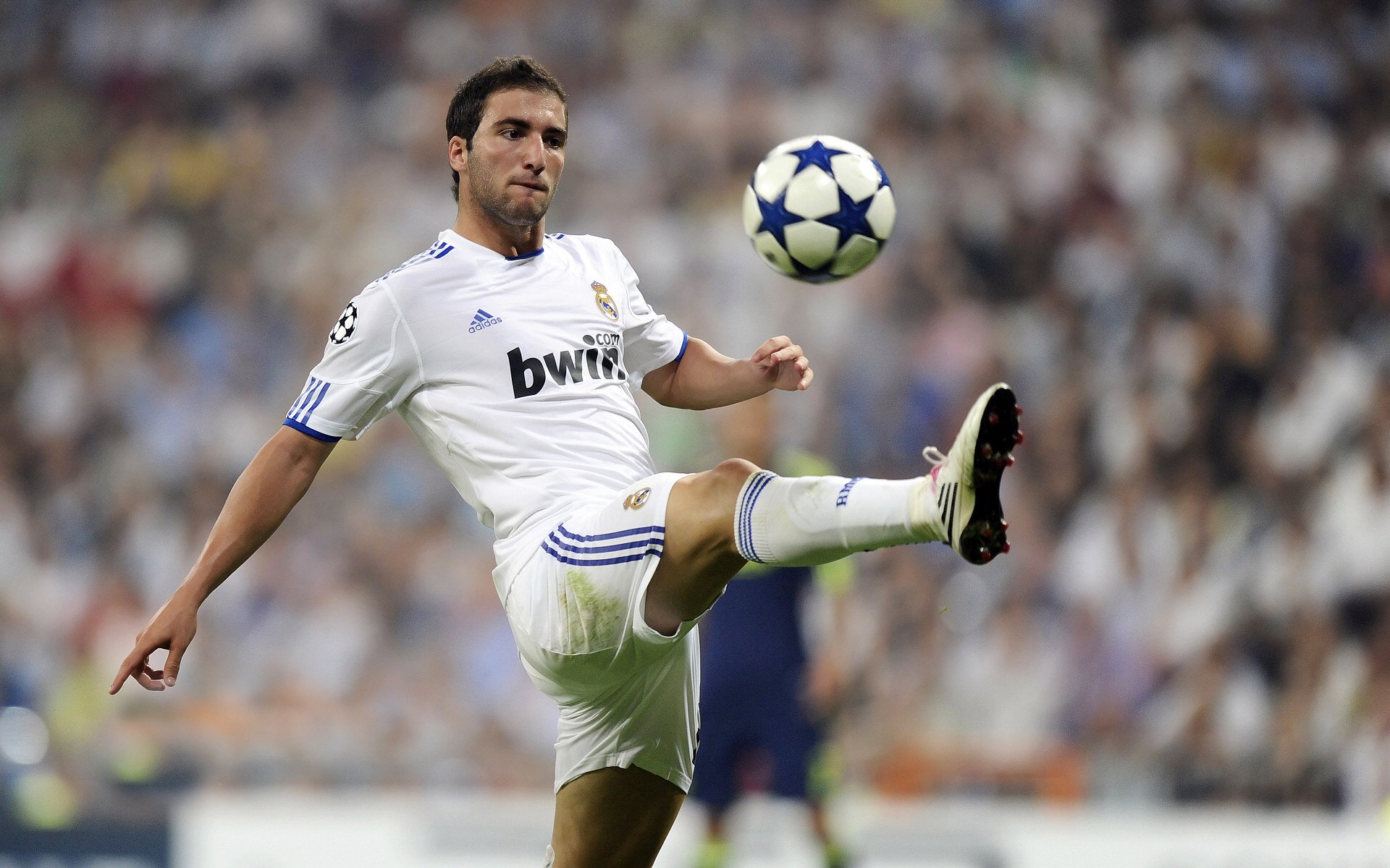 拉沃尔杯的火焰,蒂姆的完胜如何重新定义网球荣耀